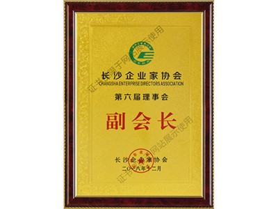 長沙企業(yè)協(xié)會第八屆董事會副會長單位