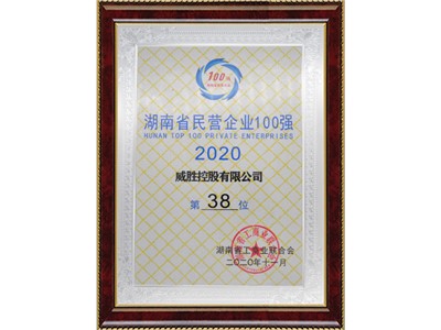 湖南省民營企業(yè)100強第38位