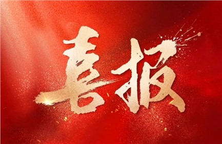 喜報(bào)|威勝集團(tuán)中標(biāo)國家電網(wǎng)項(xiàng)目，總中標(biāo)金額超1.15億元，行業(yè)排名第一！