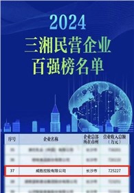 喜訊｜威勝控股上榜2024三湘民營(yíng)企業(yè)百?gòu)?qiáng)榜單，排名第37位